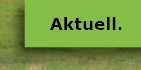 Aktuell